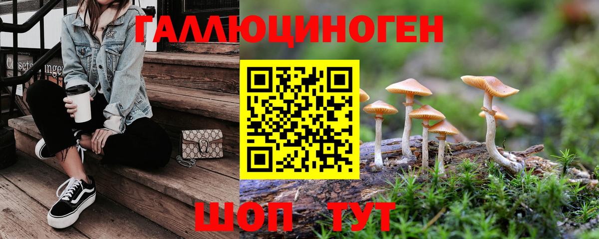 Псилоцибиновые грибы GOLDEN TEACHER Похвистнево